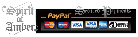 Paypal Secured Payments